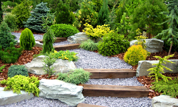 landscaping in chennai, garden maintenance chennai, garden design chennai, gardening chennai, garden contractors chennai, terrace gardens chennai, gardening design chennai, landscape designer chennai, landscape architects chennai, landscape architect chennai, landscape designer chennai, landscaping chennai, swimming pool designer chennai, swimming pool maintenance chennai, swimming pool contractor chennai, landscape, landscape architects, plantscape, plantscape chennai, planting design, landscape designer, institutional landscape, industrial landscape, commercial landscape, residential lanscape, scenery  setting, chennai landscape, chennai landscaping, chennai landscape designers, chennai garden maintenance, chennai garden management, chennai terrace gardens, chennai swimming pool designers, chennai swimming pool maintenance, chennai gardening, chennai landscape architects, landscape in chennai, landscaping in chennai, landscape designers in chennai, garden maintenance in chennai, garden management in chennai, terrace gardens in chennai, swimming pool designers in chennai, swimming pool maintenance in chennai, gardening in chennai, landscape architects in chennai