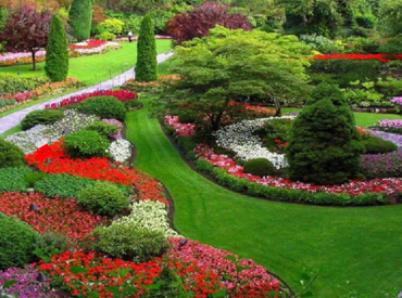 landscaping in chennai, garden maintenance chennai, garden design chennai, gardening chennai, garden contractors chennai, terrace gardens chennai, gardening design chennai, landscape designer chennai, landscape architects chennai, landscape architect chennai, landscape designer chennai, landscaping chennai, swimming pool designer chennai, swimming pool maintenance chennai, swimming pool contractor chennai, landscape, landscape architects, plantscape, plantscape chennai, planting design, landscape designer, institutional landscape, industrial landscape, commercial landscape, residential lanscape, scenery  setting, chennai landscape, chennai landscaping, chennai landscape designers, chennai garden maintenance, chennai garden management, chennai terrace gardens, chennai swimming pool designers, chennai swimming pool maintenance, chennai gardening, chennai landscape architects, landscape in chennai, landscaping in chennai, landscape designers in chennai, garden maintenance in chennai, garden management in chennai, terrace gardens in chennai, swimming pool designers in chennai, swimming pool maintenance in chennai, gardening in chennai, landscape architects in chennai